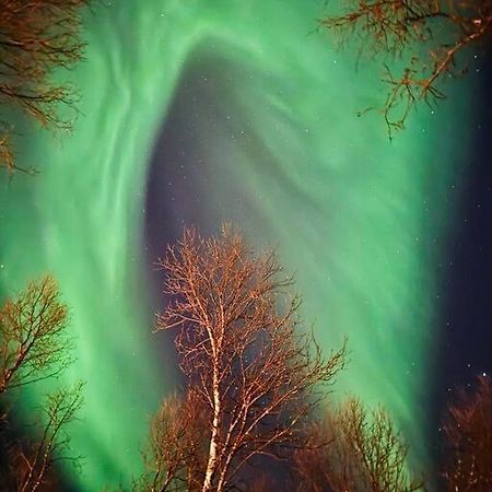 Leilighet I Nord Tromsø Zewnętrze zdjęcie