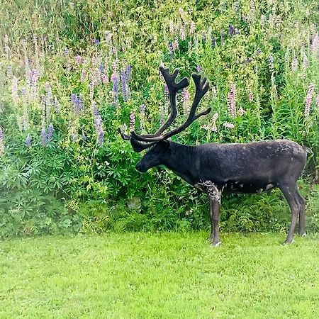 Leilighet I Nord Tromsø Zewnętrze zdjęcie