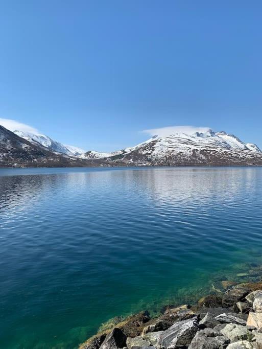 Leilighet I Nord Tromsø Zewnętrze zdjęcie