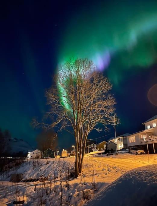 Leilighet I Nord Tromsø Zewnętrze zdjęcie