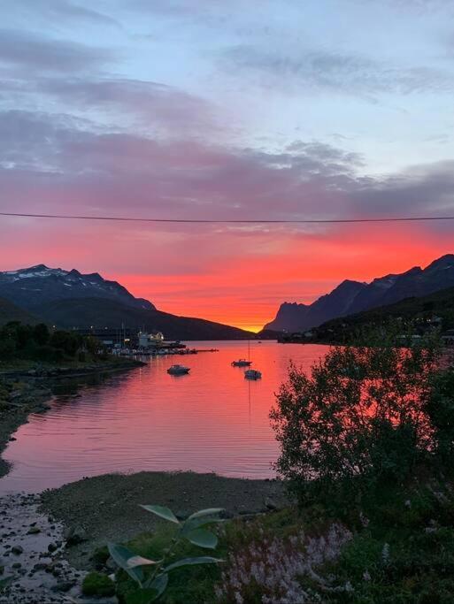 Leilighet I Nord Tromsø Zewnętrze zdjęcie